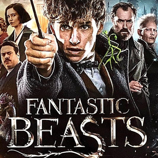 Fantastic Beasts and Where to Find Them (2019, DVD) 133 Min. Kids & Family