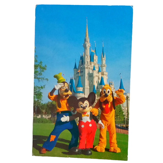 Mickey Mouse, Pluto, Goofy at Walt Disney World 1983, 3.5 x 5.5 Vintage Postcard