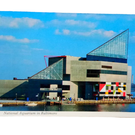 The National Aquarium in Baltimore MD, 4 x 6, Vintage Postcard