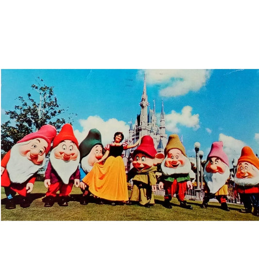 Snow White and the Seven Dwarf's Disney World 1978, 3.5 x 5.5 Vintage Postcard
