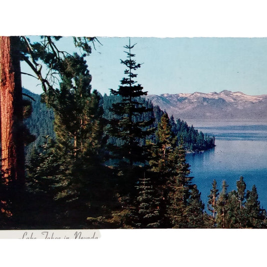 Lake Tahoe in Nevada, 1981, 4" x 5.75" Scalloped Edges, Vintage Postcard