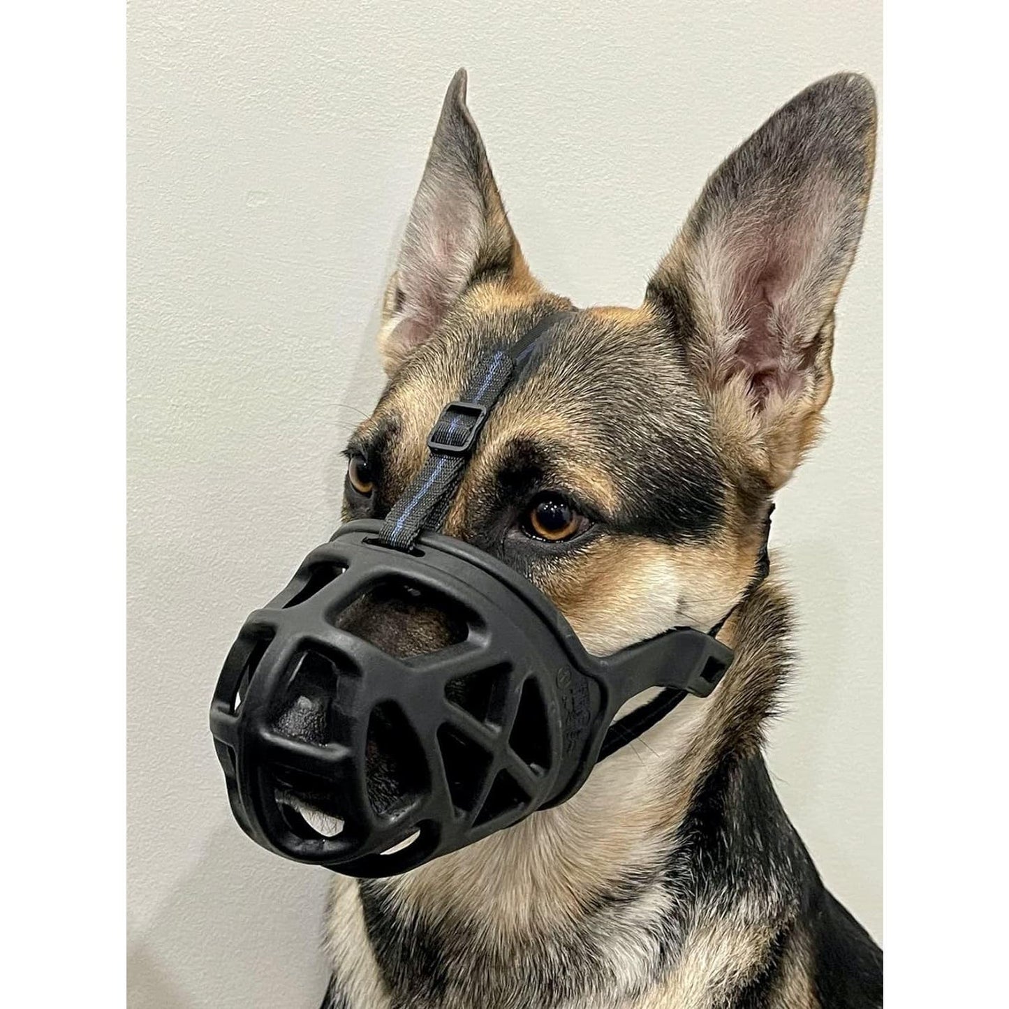 XL Dog Muzzle, Breathable Basket Muzzle, for Aggressive Dogs, Barking, Biting...