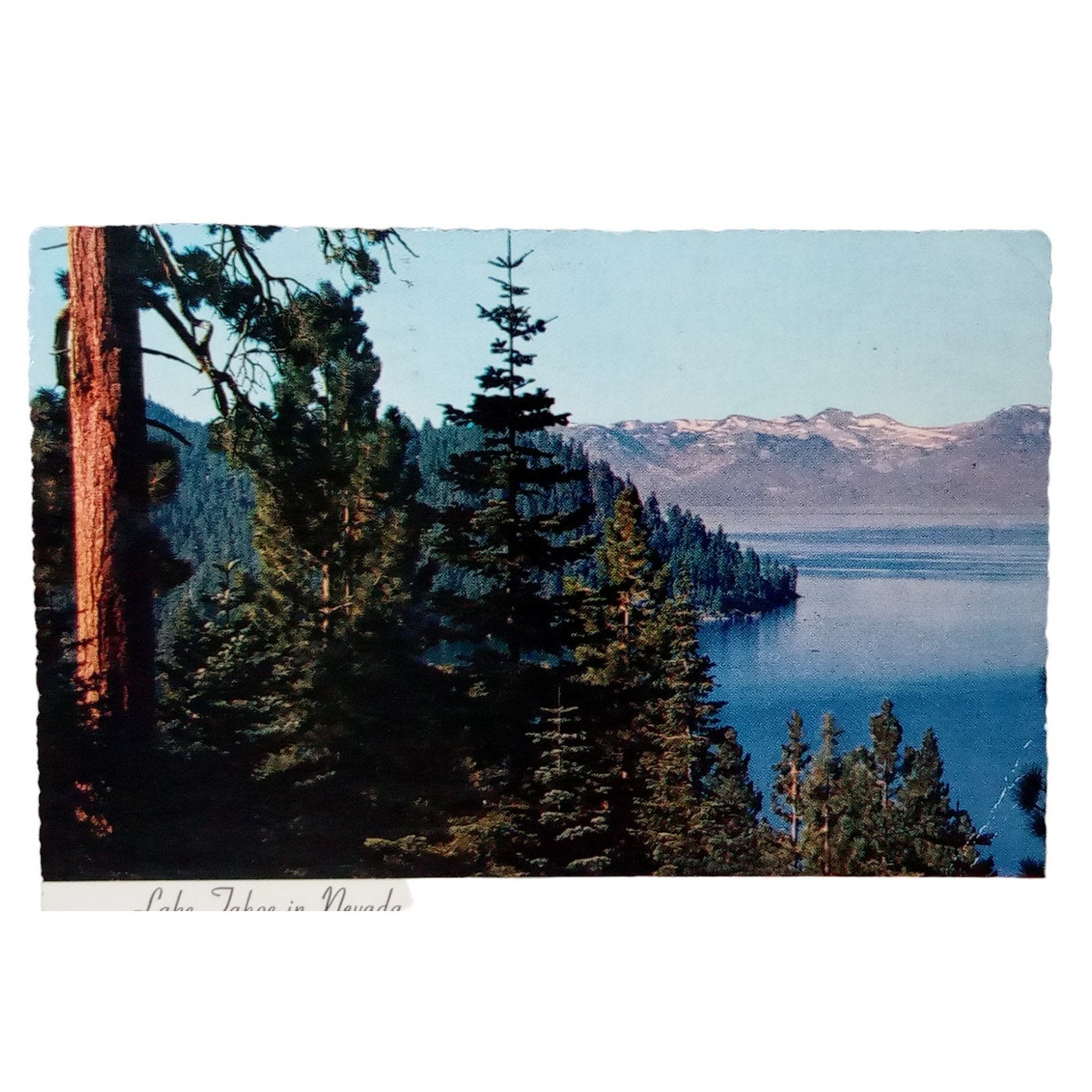 Lake Tahoe in Nevada, 1981, 4" x 5.75" Scalloped Edges, Vintage Postcard