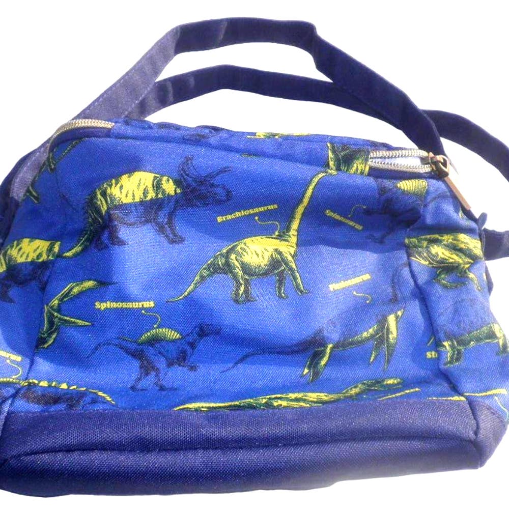 Fit+Fresh Novelty Dinosaur Insulated Lunch Bag for Kids and/or Adults