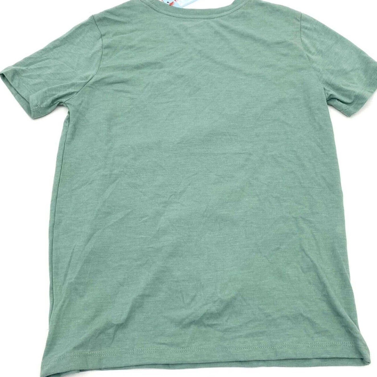 Boys S (6/7) 'Mr Giraffe School Desk' Short Sleeve Graphic T-Shirt -Ocean Green